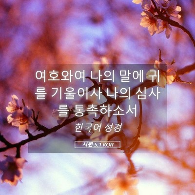 Picture 05 - 시편 5:1 KOR - 여호와여 나의 말에 귀를 기울이사 - Bible Verse Picture