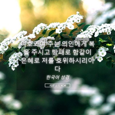 Picture 05 - 시편 5:12 KOR - 여호와여 주는 의인에게 복을 주시고 - Bible Verse Picture