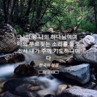 Picture 05 - 시편 5:2 KOR - 나의 왕 나의 하나님이여 나의 - Bible Verse Picture