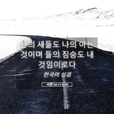 Picture 05 - 시편 50:11 KOR - 산의 새들도 나의 아는 것이며 들의 - Bible Verse Picture