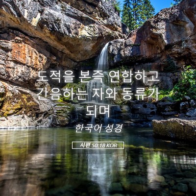 Picture 05 - 시편 50:18 KOR - 도적을 본즉 연합하고 간음하는 자와 - Bible Verse Picture