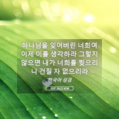Picture 05 - 시편 50:22 KOR - 하나님을 잊어버린 너희여 이제 이를 - Bible Verse Picture