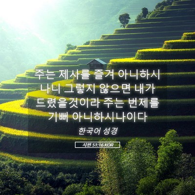 Picture 05 - 시편 51:16 KOR - 주는 제사를 즐겨 아니하시나니 - Bible Verse Picture