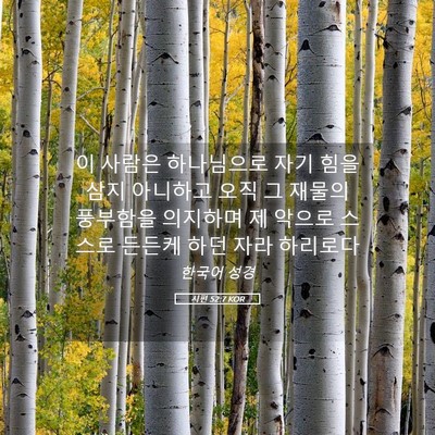 Picture 05 - 시편 52:7 KOR - 이 사람은 하나님으로 자기 힘을 - Bible Verse Picture