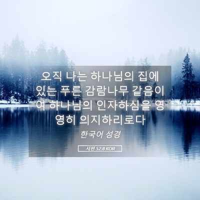 Picture 05 - 시편 52:8 KOR - 오직 나는 하나님의 집에 있는 푸른 - Bible Verse Picture