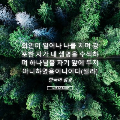 Picture 05 - 시편 54:3 KOR - 외인이 일어나 나를 치며 강포한 - Bible Verse Picture