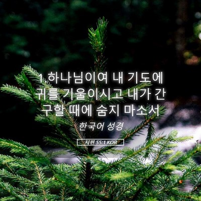Picture 05 - 시편 55:1 KOR - 1.하나님이여 내 기도에 귀를 - Bible Verse Picture