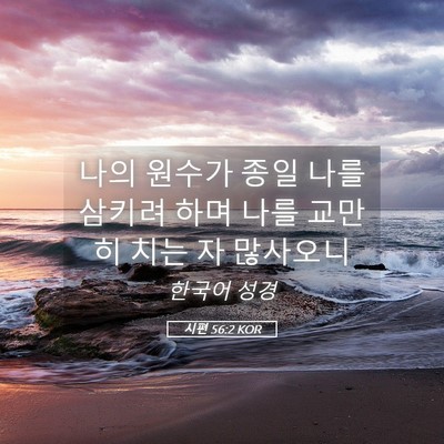 Picture 05 - 시편 56:2 KOR - 나의 원수가 종일 나를 삼키려 하며 - Bible Verse Picture
