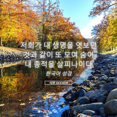 Picture 05 - 시편 56:6 KOR - 저희가 내 생명을 엿보던 것과 같이 - Bible Verse Picture