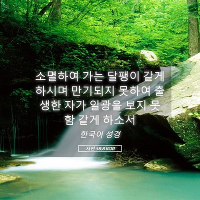 Picture 05 - 시편 58:8 KOR - 소멸하여 가는 달팽이 같게 하시며 - Bible Verse Picture
