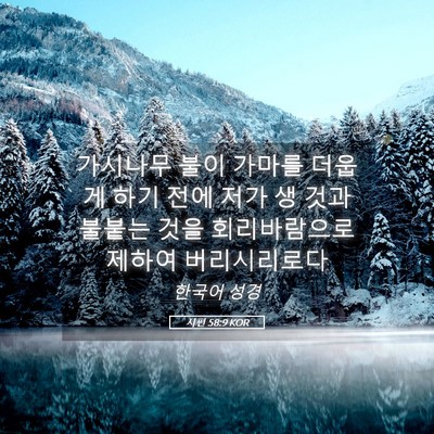 Picture 05 - 시편 58:9 KOR - 가시나무 불이 가마를 더웁게 하기 - Bible Verse Picture