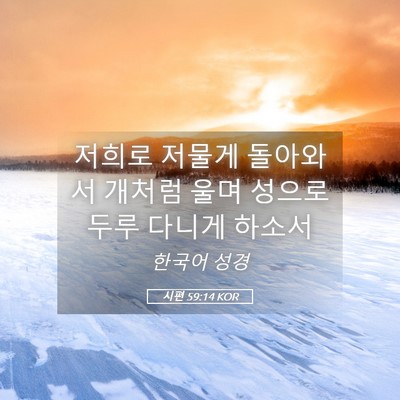 Picture 05 - 시편 59:14 KOR - 저희로 저물게 돌아와서 개처럼 울며 - Bible Verse Picture