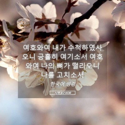 Picture 05 - 시편 6:2 KOR - 여호와여 내가 수척하였사오니 - Bible Verse Picture