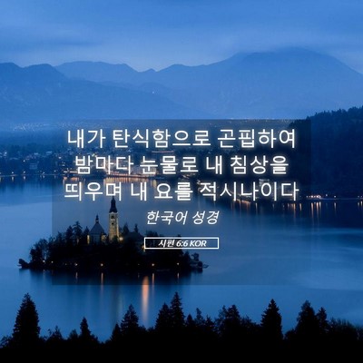 Picture 05 - 시편 6:6 KOR - 내가 탄식함으로 곤핍하여 밤마다 - Bible Verse Picture