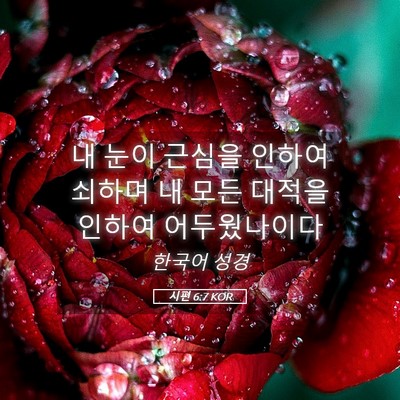 Picture 05 - 시편 6:7 KOR - 내 눈이 근심을 인하여 쇠하며 내 - Bible Verse Picture