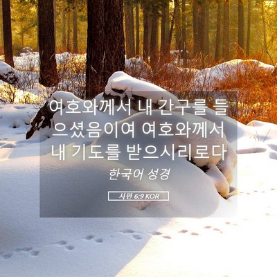 Picture 05 - 시편 6:9 KOR - 여호와께서 내 간구를 들으셨음이여 - Bible Verse Picture