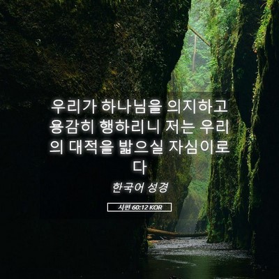 Picture 05 - 시편 60:12 KOR - 우리가 하나님을 의지하고 용감히 - Bible Verse Picture