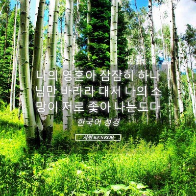 Picture 05 - 시편 62:5 KOR - 나의 영혼아 잠잠히 하나님만 바라라 - Bible Verse Picture