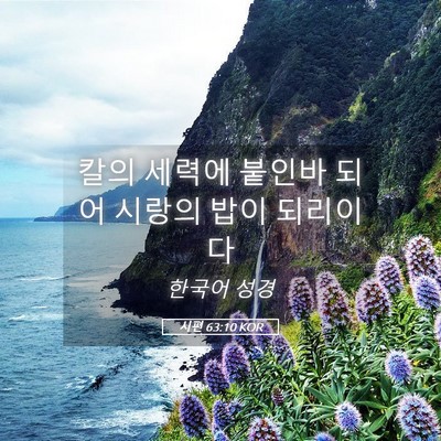 Picture 05 - 시편 63:10 KOR - 칼의 세력에 붙인바 되어 시랑의 - Bible Verse Picture