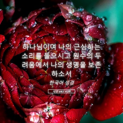 Picture 05 - 시편 64:1 KOR - 하나님이여 나의 근심하는 소리를 - Bible Verse Picture