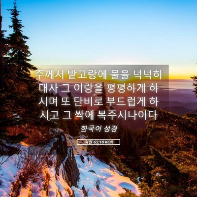 Picture 05 - 시편 65:10 KOR - 주께서 밭고랑에 물을 넉넉히 대사 - Bible Verse Picture
