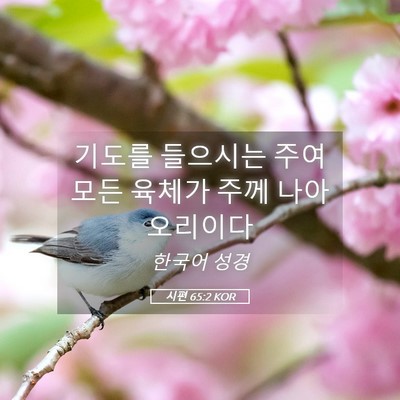 Picture 05 - 시편 65:2 KOR - 기도를 들으시는 주여 모든 육체가 - Bible Verse Picture