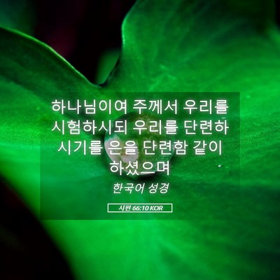 Picture 05 - 시편 66:10 KOR - 하나님이여 주께서 우리를 - Bible Verse Picture