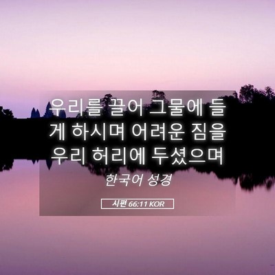 Picture 05 - 시편 66:11 KOR - 우리를 끌어 그물에 들게 하시며 - Bible Verse Picture