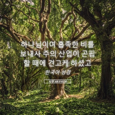 Picture 05 - 시편 68:9 KOR - 하나님이여 흡족한 비를 보내사 주의 - Bible Verse Picture