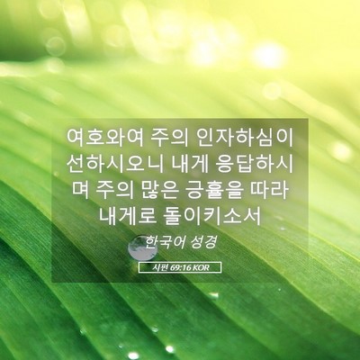 Picture 05 - 시편 69:16 KOR - 여호와여 주의 인자하심이 - Bible Verse Picture