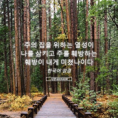 Picture 05 - 시편 69:9 KOR - 주의 집을 위하는 열성이 나를 - Bible Verse Picture