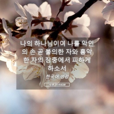 Picture 05 - 시편 71:4 KOR - 나의 하나님이여 나를 악인의 손 곧 - Bible Verse Picture