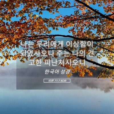 Picture 05 - 시편 71:7 KOR - 나는 무리에게 이상함이 되었사오나 - Bible Verse Picture