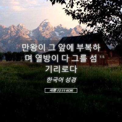 Picture 05 - 시편 72:11 KOR - 만왕이 그 앞에 부복하며 열방이 다 - Bible Verse Picture