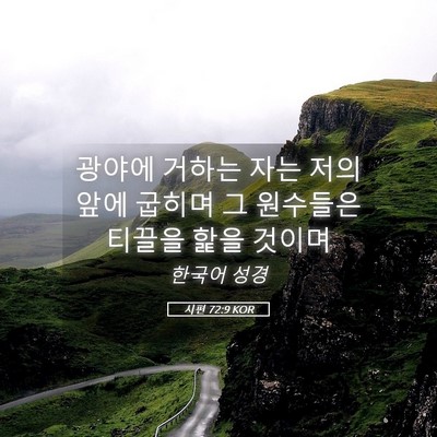 Picture 05 - 시편 72:9 KOR - 광야에 거하는 자는 저의 앞에 - Bible Verse Picture