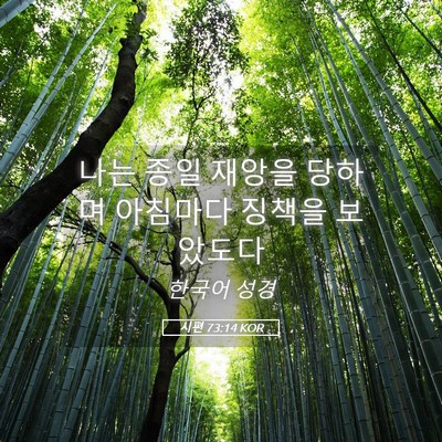 Picture 05 - 시편 73:14 KOR - 나는 종일 재앙을 당하며 아침마다 - Bible Verse Picture