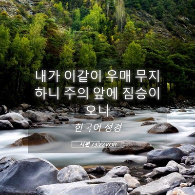 Picture 05 - 시편 73:22 KOR - 내가 이같이 우매 무지하니 주의 - Bible Verse Picture