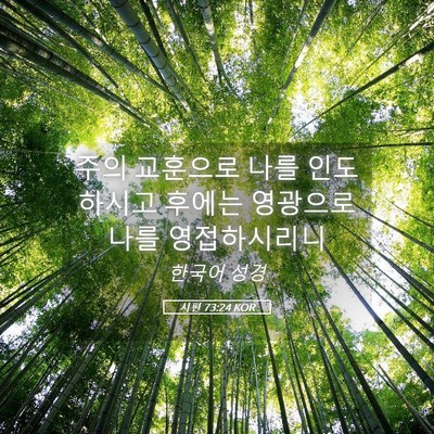 Picture 05 - 시편 73:24 KOR - 주의 교훈으로 나를 인도하시고 - Bible Verse Picture