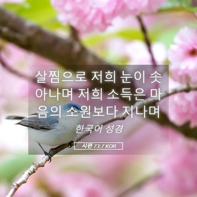 Picture 05 - 시편 73:7 KOR - 살찜으로 저희 눈이 솟아나며 저희 - Bible Verse Picture