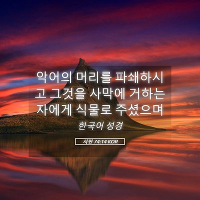 Picture 05 - 시편 74:14 KOR - 악어의 머리를 파쇄하시고 그것을 - Bible Verse Picture
