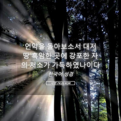 Picture 05 - 시편 74:20 KOR - 언약을 돌아보소서 대저 땅 흑암한 - Bible Verse Picture