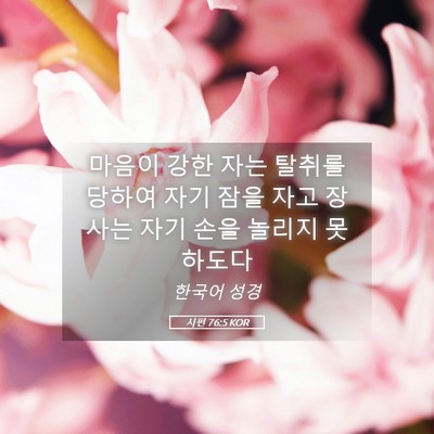 Picture 05 - 시편 76:5 KOR - 마음이 강한 자는 탈취를 당하여 - Bible Verse Picture