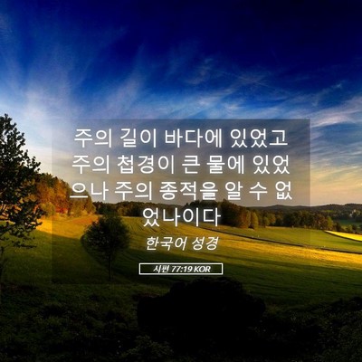 Picture 05 - 시편 77:19 KOR - 주의 길이 바다에 있었고 주의 - Bible Verse Picture