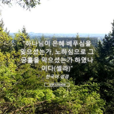 Picture 05 - 시편 77:9 KOR - 