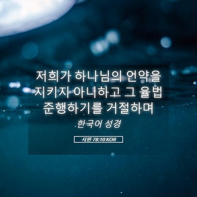 Picture 05 - 시편 78:10 KOR - 저희가 하나님의 언약을 지키지 - Bible Verse Picture