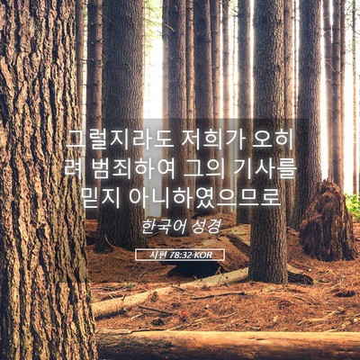 Picture 05 - 시편 78:32 KOR - 그럴지라도 저희가 오히려 범죄하여 - Bible Verse Picture