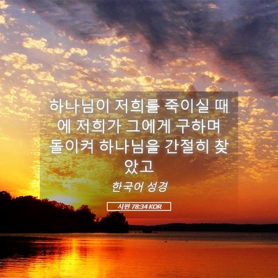 Picture 05 - 시편 78:34 KOR - 하나님이 저희를 죽이실 때에 저희가 - Bible Verse Picture