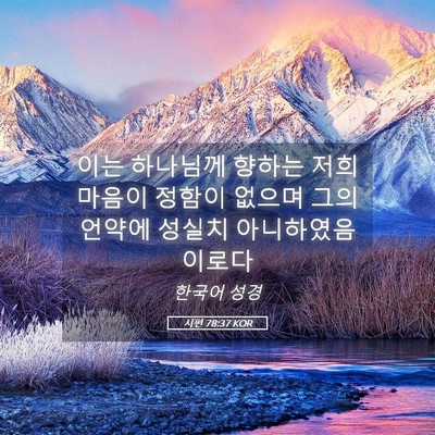 Picture 05 - 시편 78:37 KOR - 이는 하나님께 향하는 저희 마음이 - Bible Verse Picture