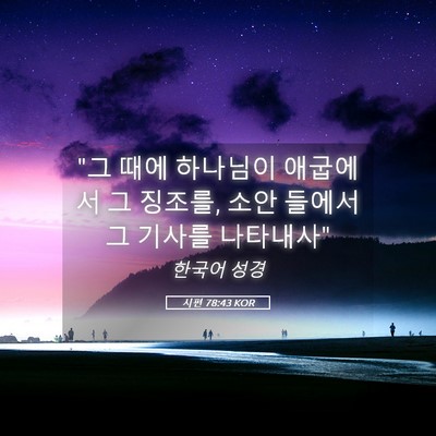 Picture 05 - 시편 78:43 KOR - 