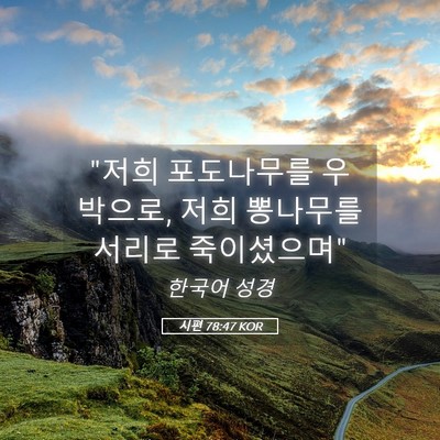 Picture 05 - 시편 78:47 KOR - 
